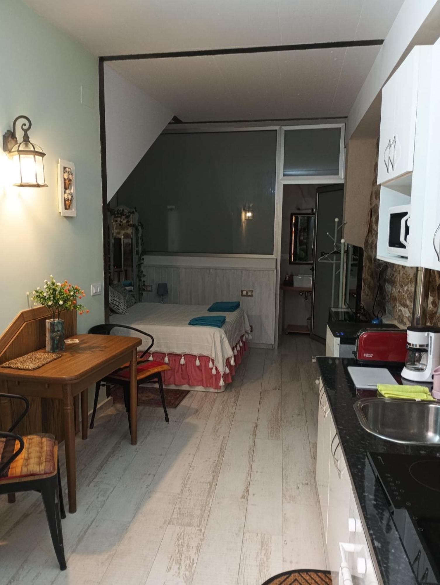 Apartamento Estudio As Andurinas サン・マルティン・デ・トレベホ エクステリア 写真